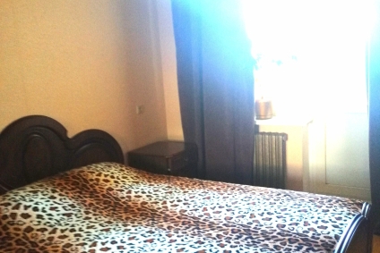 3-х комн. квартира в центре.