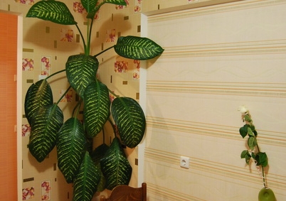 Район Девятовка