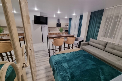 Стильные 1 комнатные апартаменты.