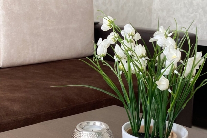 Цена указана для двух человек. Цена в праздники и выходные дни договорная