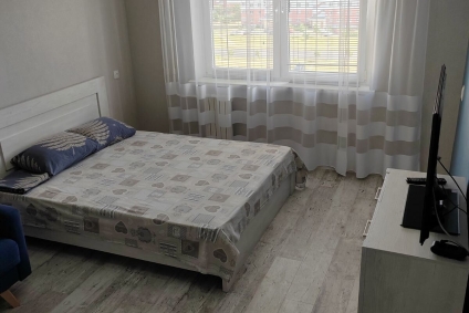 Двухкомнатная квартира Вишневец