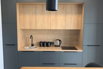 Квартира студия с качелью