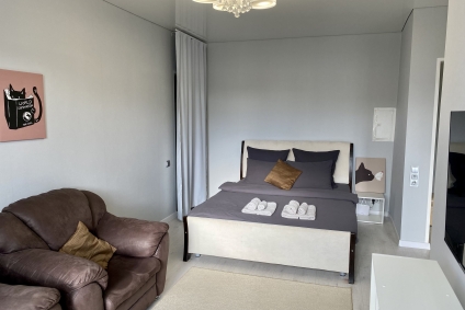 Уютные апартаменты в сердце Гродно