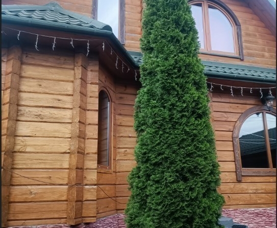 ''